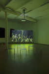 <p>Installation view, titre provisoire, <em>A cold case or happiness</em>, Courtesy the artists and Halle für Kunst Lüneburg.</p>