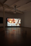 <p>Installation view, titre provisoire, <em>A cold case or happiness</em>, Courtesy the artists and Halle für Kunst Lüneburg.</p>